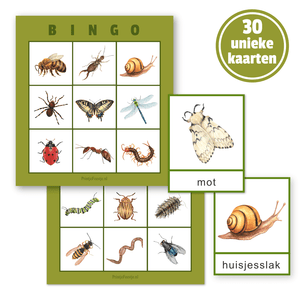 insecten bingo met kriebelbeestjes