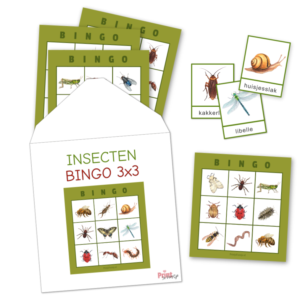 insecten kinderbingo met plaatjes tot 30 kaarten