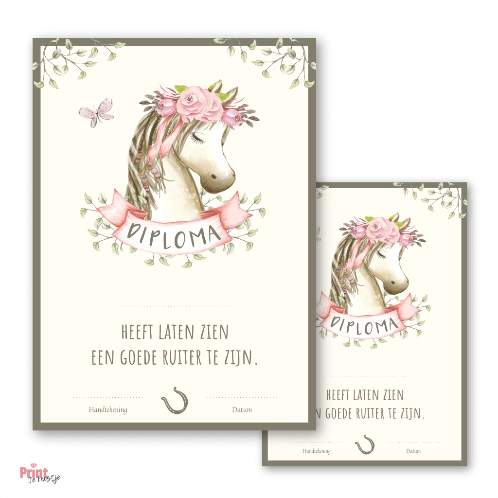 ruiter diploma en diploma voor paarden kinderfeestje