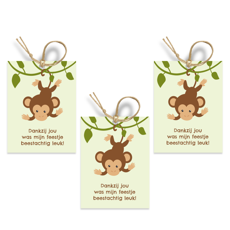 bedankt labels safarifeestje - print je feestje